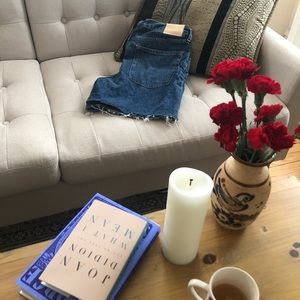 Everlane Denim Short - Size 30